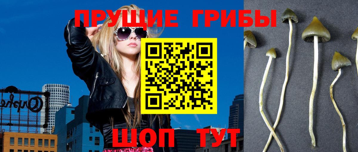 Липецк  что такое   Галлюциногенные грибы Magic Shrooms  Вход с VPN  Псилоцибиновые грибы Psilocybe 